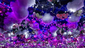 Your Daily Dog Video says something... about cats. 