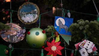 Decor Trends Going Viral This Holiday Season 