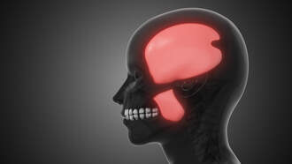 Lucy Chapman - This may be a little gross, but it could be something you need to hear!