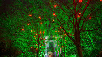 The Morning Rush - Win A Family 4 Pack To Carowinds Winterfest With This Answer Mon Morning 