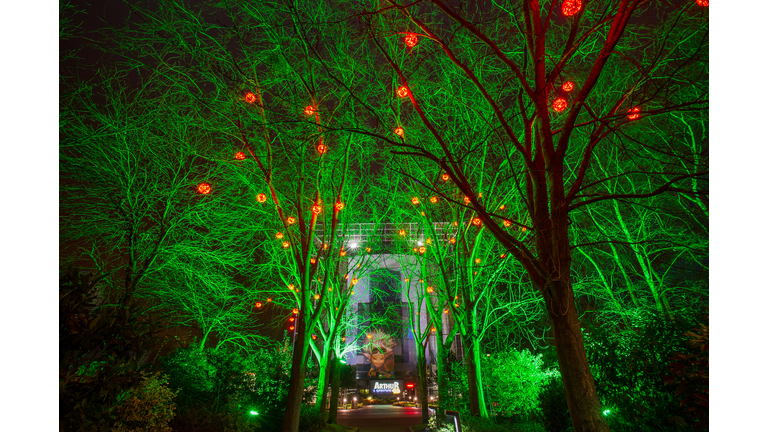 FRANCE-FUTUROSCOPE-LIGHTS-FEATURE