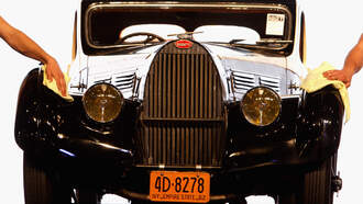 Random Fact of The Day!