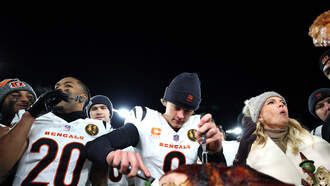 Bills vs. Bengals Week 14 Predictions, Odds and Stats