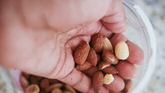 Wegmans Recalls Nuts Due to Salmonella Risk