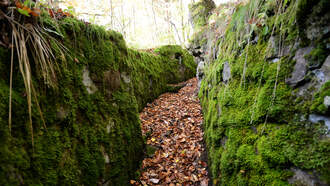 Christmas Truce of 1914: Silent Night brought calm to war