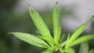 Omaha Police Warn Of New Dangerous Drug Threat