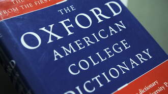 The Oxford Dictionary Word of the Year 2025 is … Rage Bait