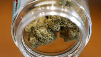 24 percent tax on marijuana to start January 2026