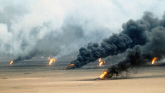 Gulf War Revelations