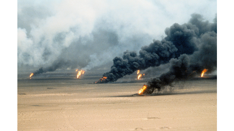 Gulf War Revelations