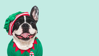 Happy Christmas Jumper Day!