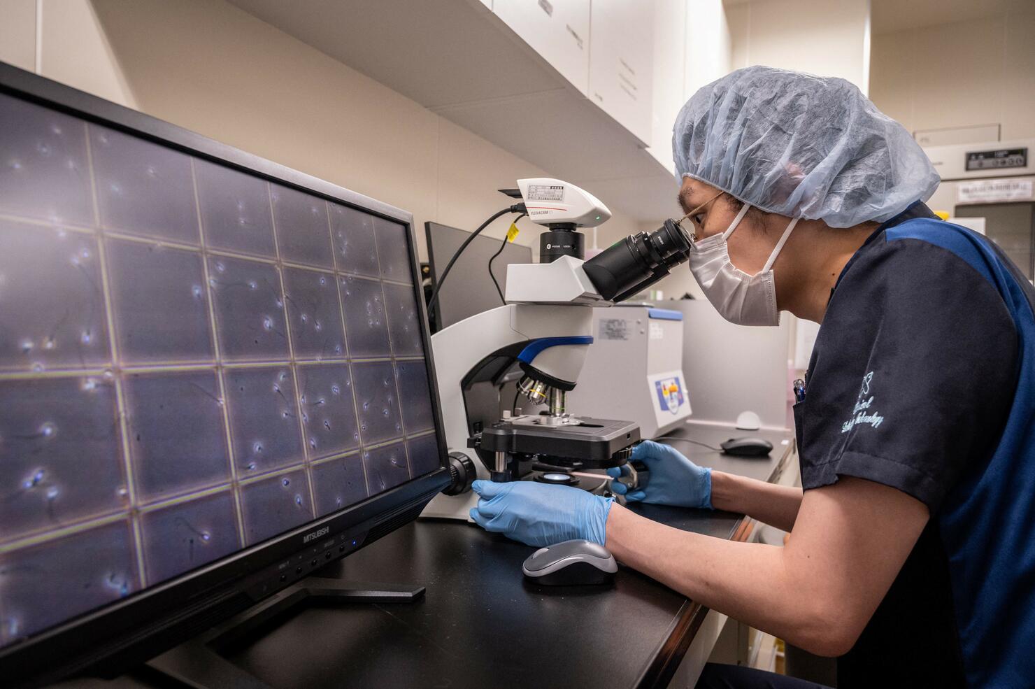 JAPAN-INFERTILITY-PREGNANCY-SOCIETY-HEALTH-SPERM