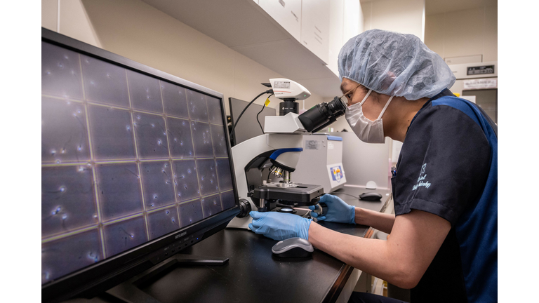 JAPAN-INFERTILITY-PREGNANCY-SOCIETY-HEALTH-SPERM