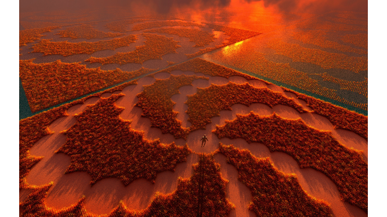 The Deep State & Spirituality / Crop Circle Mysteries