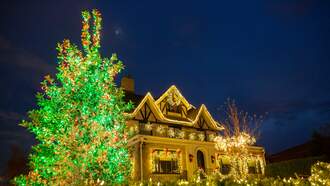 Christmas Lights In One Brooklyn Neighborhood