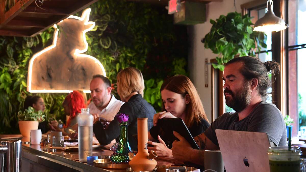 Cannabis Cafes To Soon Come To Massachusetts