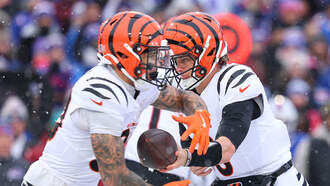 Ravens vs. Bengals Week 15 Predictions, Odds and Stats