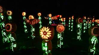 Win Tix To Segra Park Holiday Lights With This Answer Tue Morning