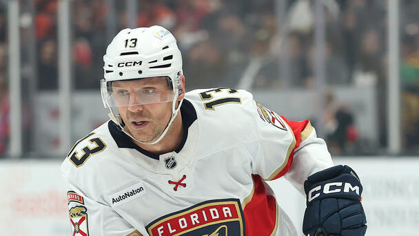 Lightning Fall To Panthers