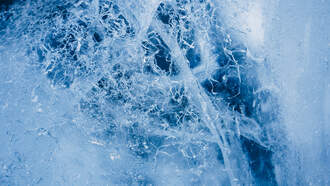 Florida Woman Found Dead In Dollar Tree Freezer