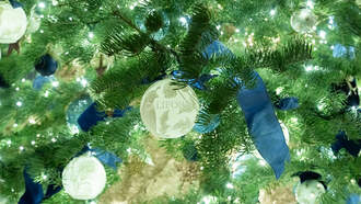 First Lady Commissions 3D Printed Ornaments from Florida Business