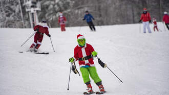 3 Things You Must See: What the Grinch's Anatomy Says About Him