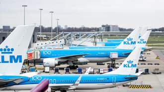 National News - Flight Canceled After Passengers Spot Giant Rat Roaming The Cabin