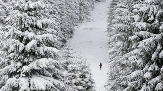 Allison Demers - Cozy Things to Do This Winter