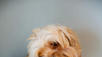 Chris Davis - Happy National Eggnog Day!