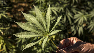 Trump Delivers ‘Common Sense’ Pot Reform, Schedule I to Schedule III