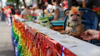 AG Neronha Joins Coalition Challenging Feds Over Gender-Affirming Care