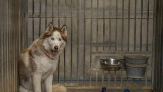 Five New Laws Take Effect In Florida Today