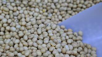 China Has Only Bought 2/3 Of U.S. Soybeans Promised During Trade Talks