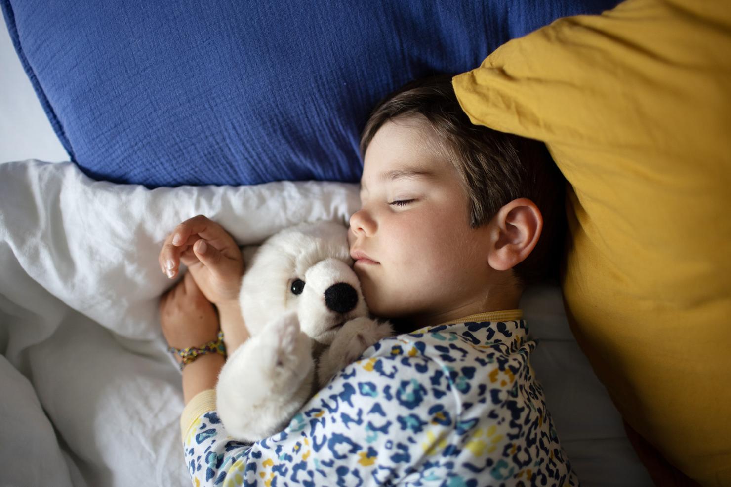 A 4 year old little boy sleeping with his cuddly toy in his bed, at home