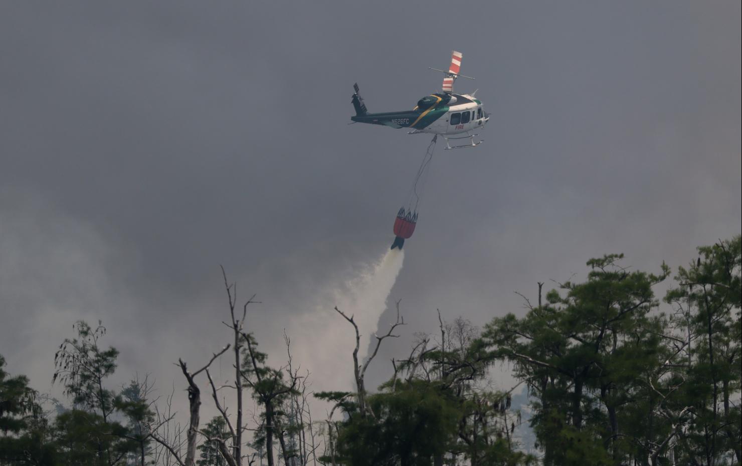 Wildfire Burns In Picayune Strand State Forest Near Naples, Florida