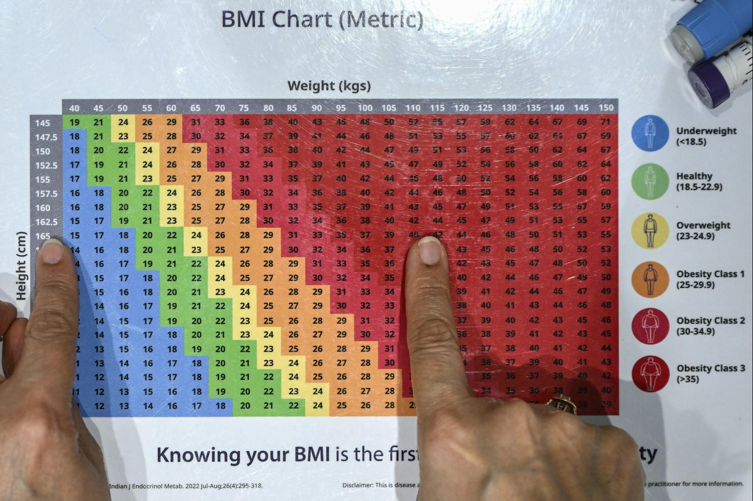 INDIA-PHARMACEUTICAL-OBESITY