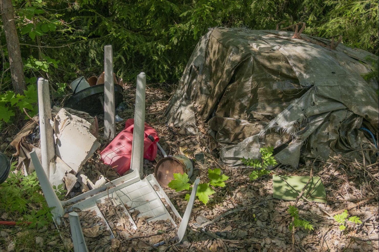 Illegal forest dump