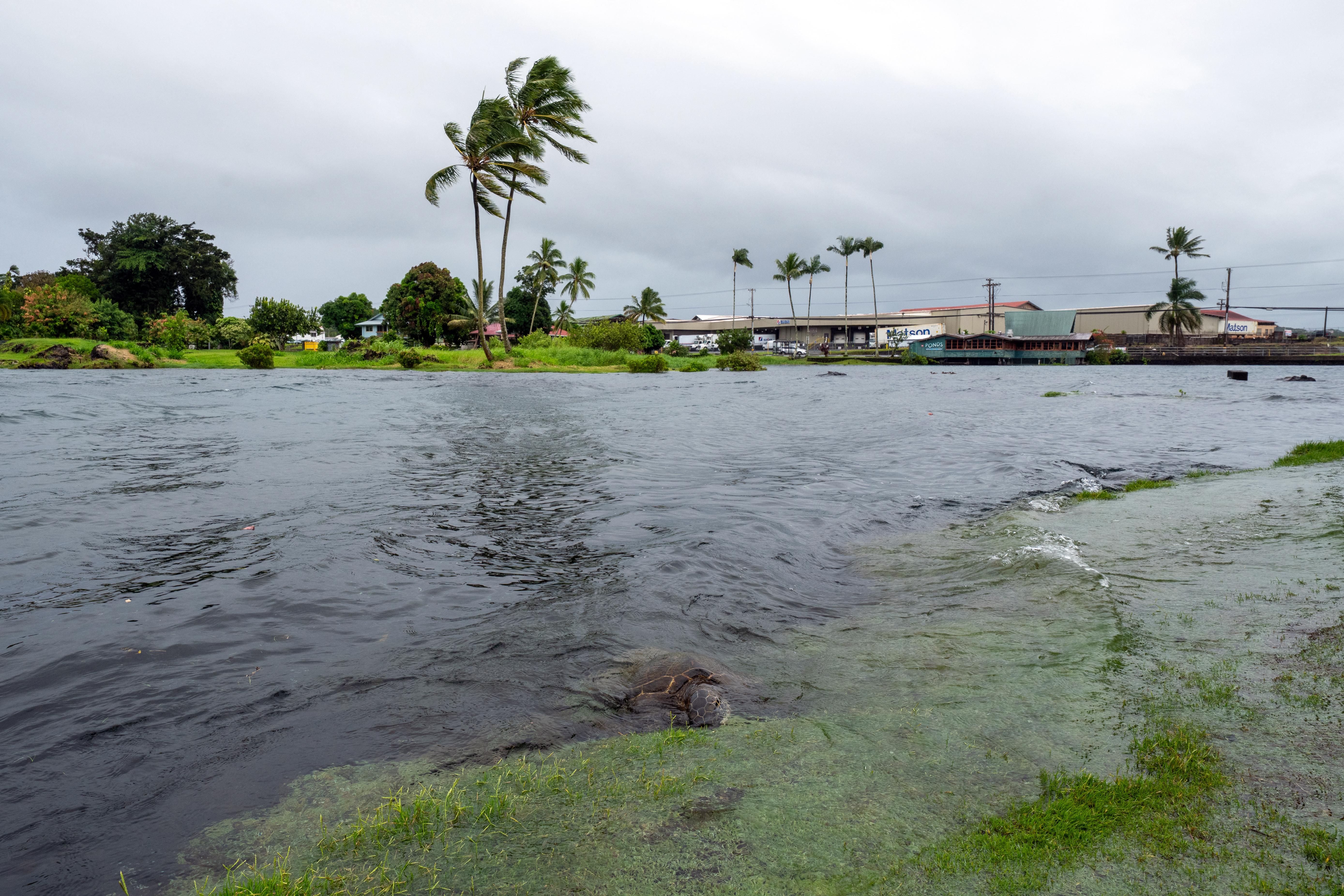 Hurricane Lowell To Turn Toward Hawaii