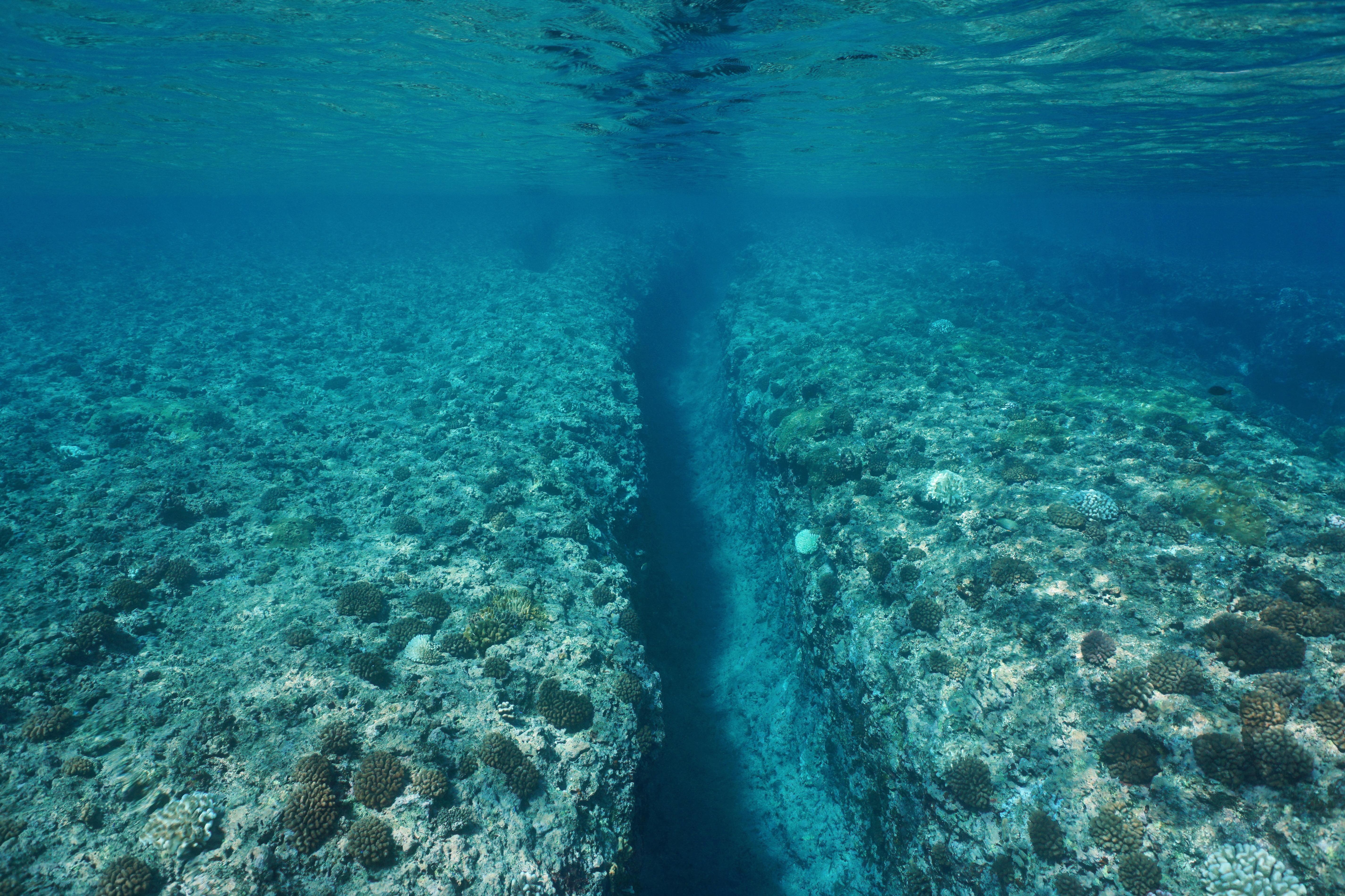Back-To-Back Earthquakes Rattle Mid-Atlantic Ridge, Experts Warn Of ...