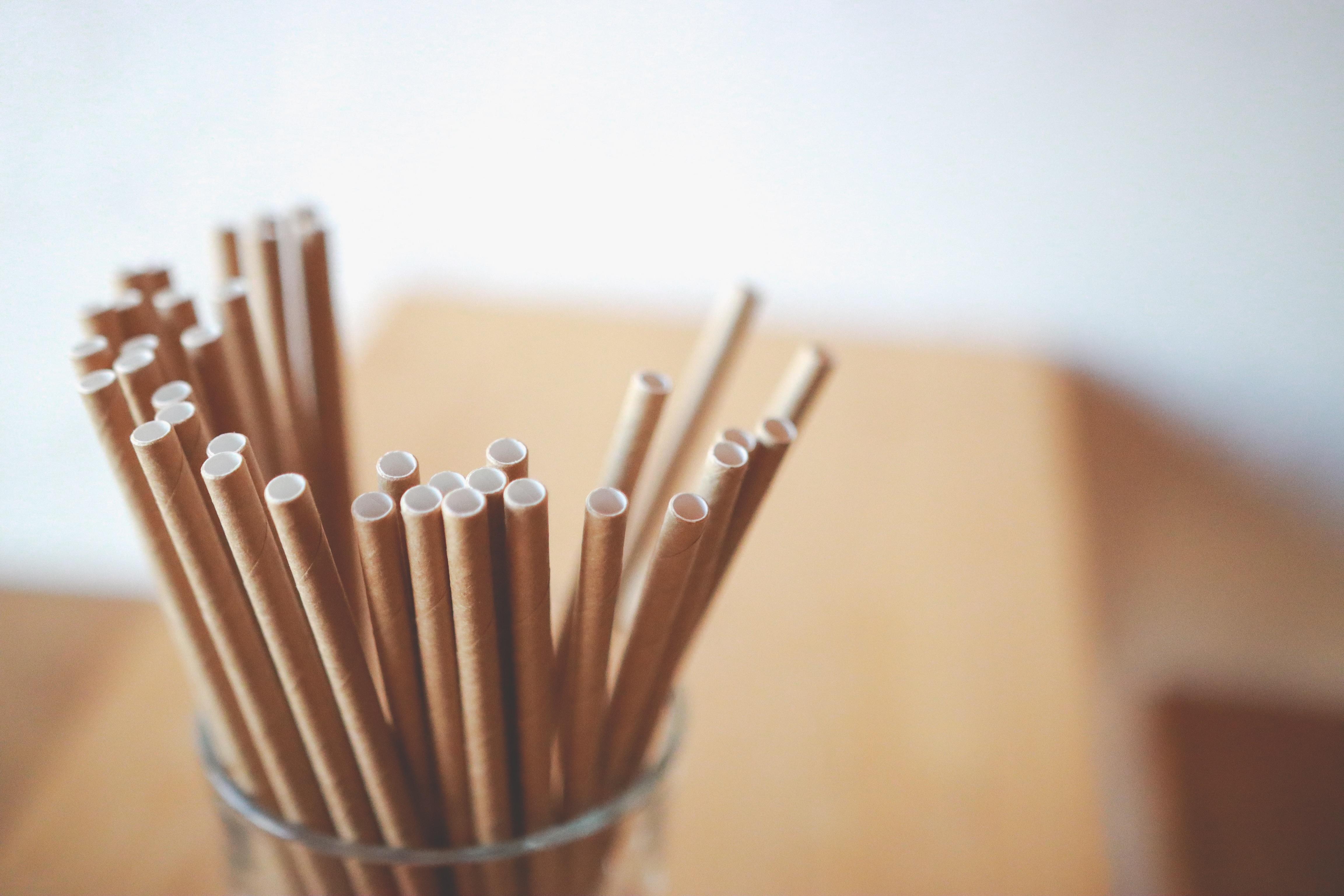 Paper Straws Found To Have Higher Cancer Impact Than Plastic, Metal ...