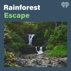 Rainforest Escape