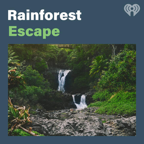 Rainforest Escape