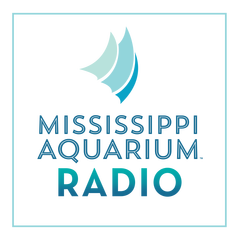 Mississippi Aquarium Radio