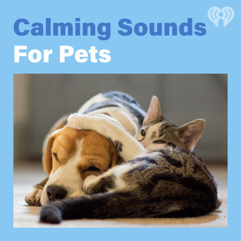 Calming Sounds for Pets