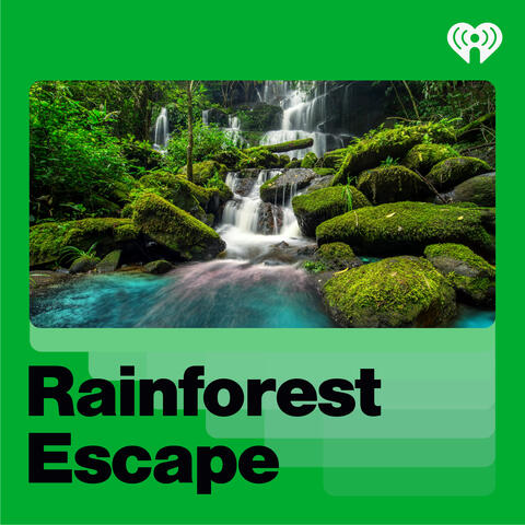 Rainforest Escape