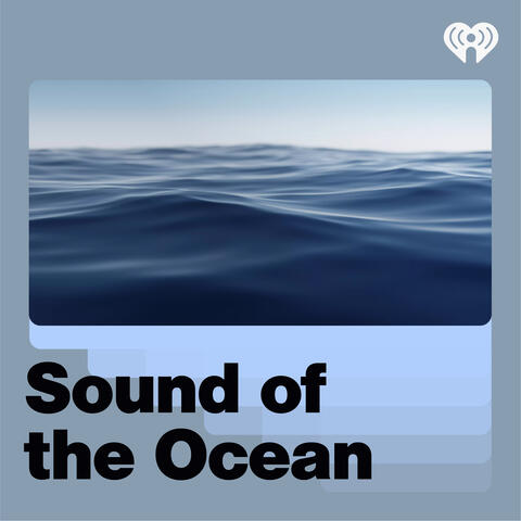 Sound of the Ocean