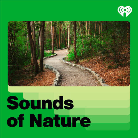 Sounds of Nature