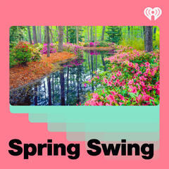Spring Swing