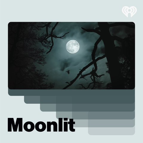 Moonlit