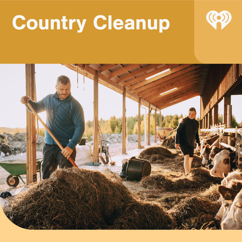 Country Cleanup